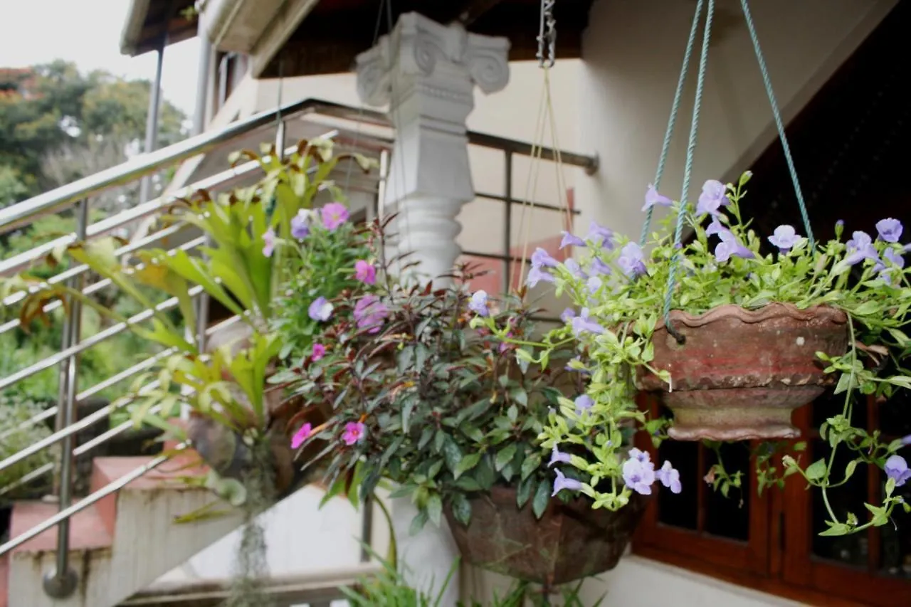 Homestay Sunny Hill Residence Kandy